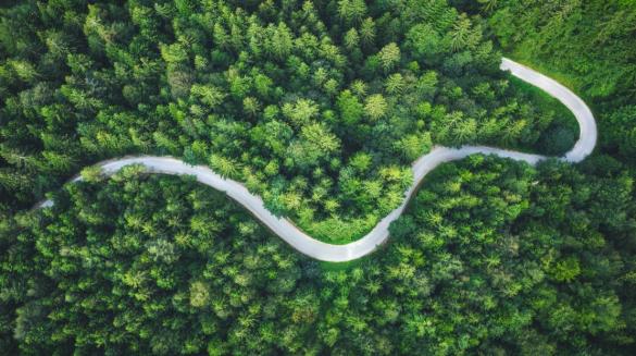For the first time, a Sustainability Report is presented that accounts for global actions.